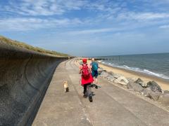 Approaching Eccles on Sea